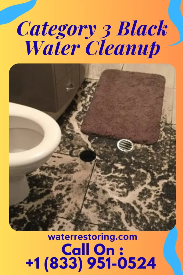 Category 3 Black Water Cleanup in Hopewell, TN