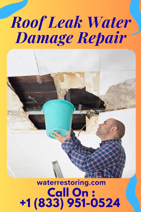 Roof Leak Water Damage Repair in Hopewell, TN